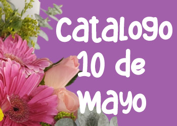 rosas roja,“Florería en Veracruz y Boca del Río: ¡Envío a domicilio gratis! Encuentra las mejores flores y arreglos florales para cualquier ocasión. ¡Visítanos hoy mismo!
