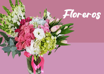 jarrones con flores,Florería en Veracruz y Boca del Río: ¡Envío a domicilio! Encuentra las mejores flores y arreglos florales para cualquier ocasión. ¡Visítanos hoy mismo!
