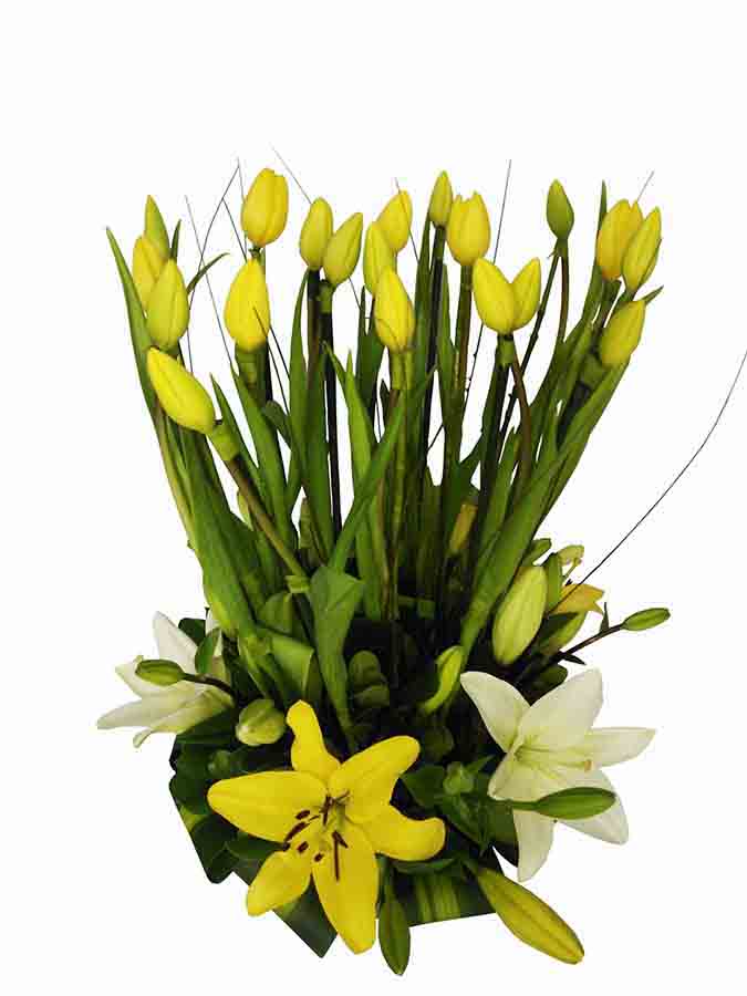 arreglo con 18 tulipanes amarillos y lilis