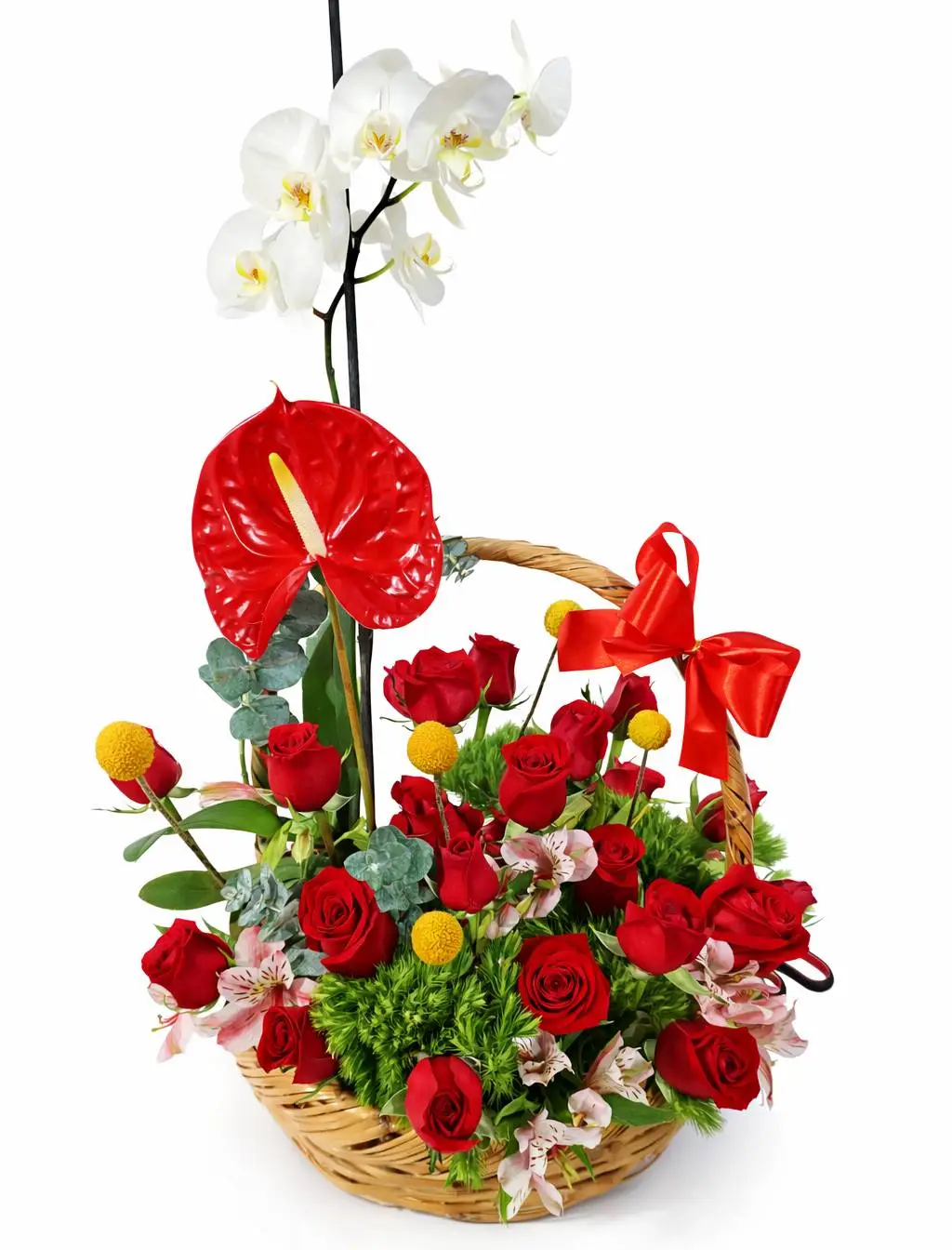 ramo con 50 rosas rojas
